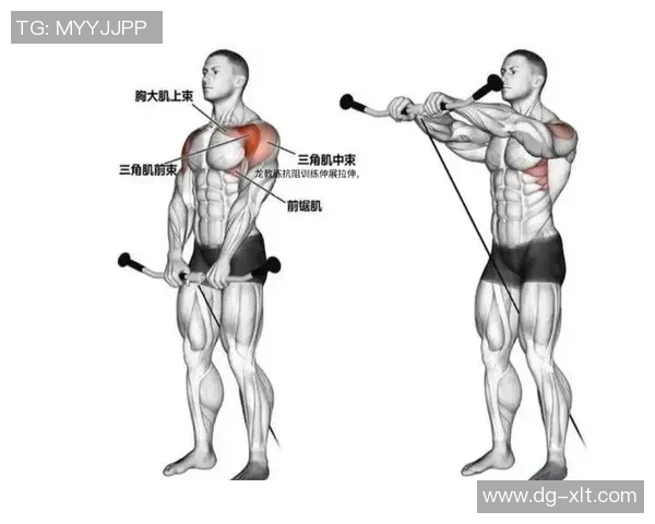 俯身哑铃训练全解析提升背部力量与肌肉线条的最佳选择